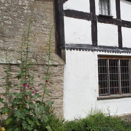 Walford Court Bed & Breakfast Leintwardine Exterior photo