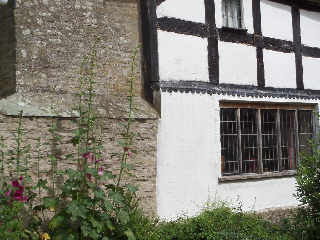 Walford Court Bed & Breakfast Leintwardine Exterior photo